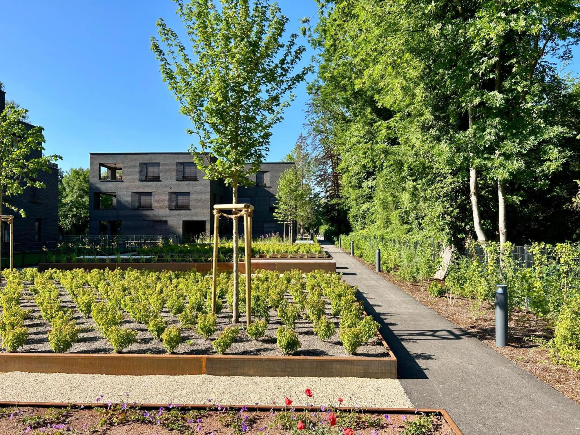 Seeparkvilla - Wohlfuehlen Am See Und Im Gruenen Bregenz Exterior photo