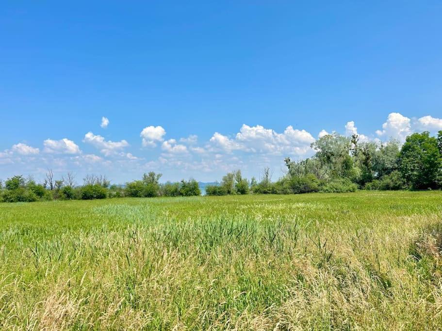 Seeparkvilla - Wohlfuehlen Am See Und Im Gruenen Bregenz Exterior photo