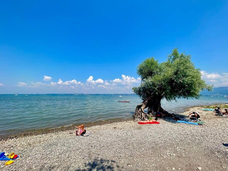 Seeparkvilla - Wohlfuehlen Am See Und Im Gruenen Bregenz Exterior photo