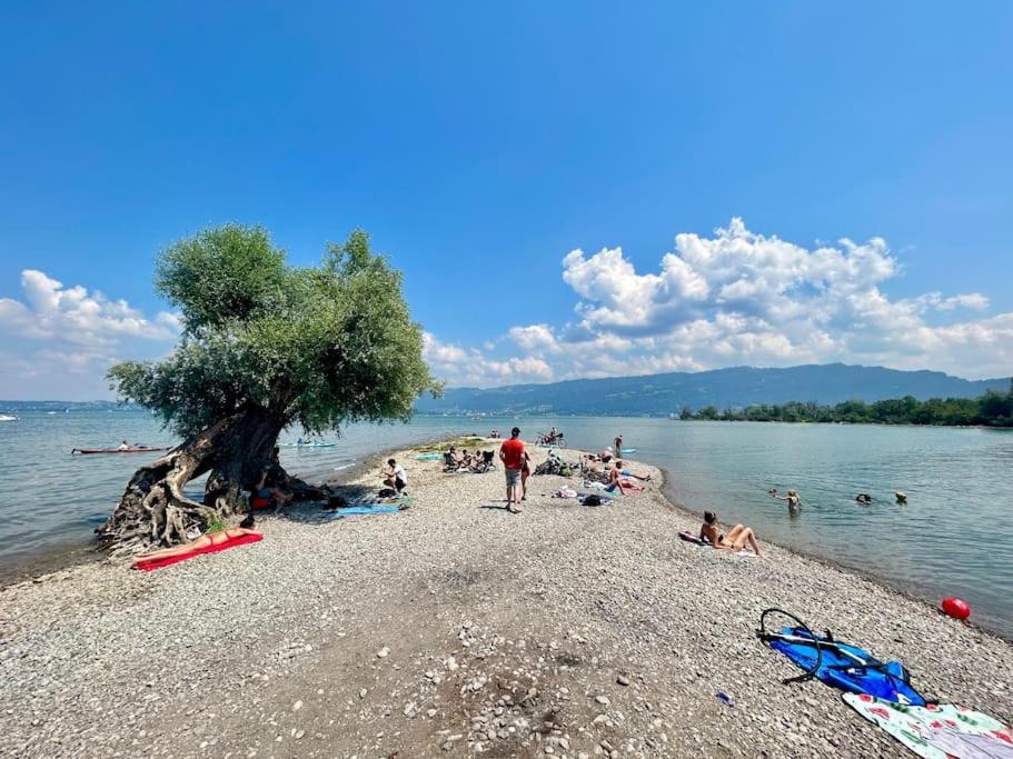 Seeparkvilla - Wohlfuehlen Am See Und Im Gruenen Bregenz Exterior photo